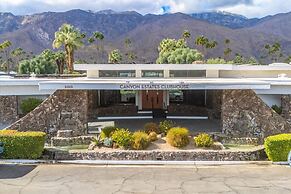 Canyon Palm in Palm Springs