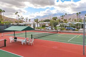 Canyon Palm in Palm Springs