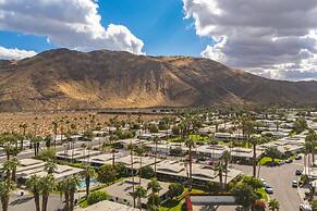 Canyon Palm in Palm Springs