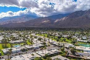 Canyon Palm in Palm Springs