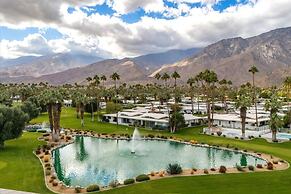 Canyon Palm in Palm Springs