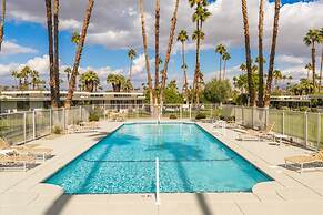 Canyon Palm in Palm Springs