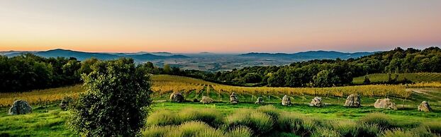 Valdonica Winery - Chill in Nature Lodge