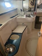 salise ince yat işletmeciliği