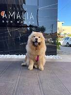 Villa Amalia Sun Beach