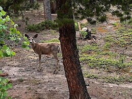 Relaxing Bailey Home 3 Bedroom Cabin