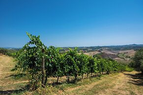 Amazing Chianti Site Olivo Shared Pool