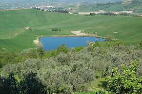 Amazing Chianti Site Olivo Shared Pool