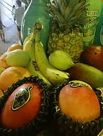 Casa boutique Encalada