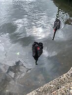 Stylish Comfotabe Riverside Cottage