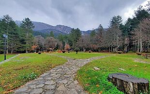 Shamrock Elati Retreats