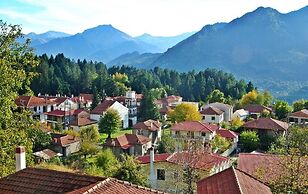 Shamrock Elati Retreats