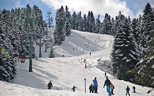 Shamrock Elati Retreats