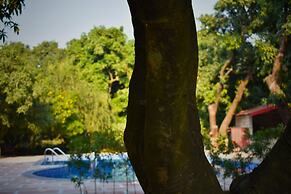 The Greenwich Resort