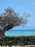 Falipè