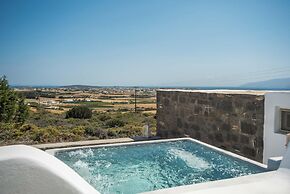 Apleton Villas Paros