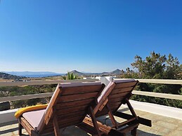 Apleton Villas Paros