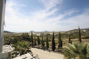 Apleton Villas Paros
