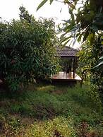 Jayshin Lake Vaitarna Resorts