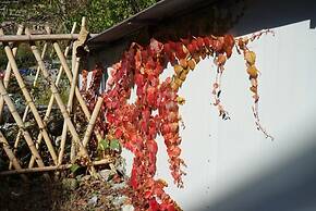 Zuiyu Shanfang Hotel