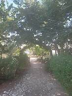 Lodges des Collines de Niassam