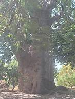 Lodges des Collines de Niassam