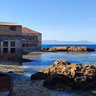 The Garden of Zephyrus