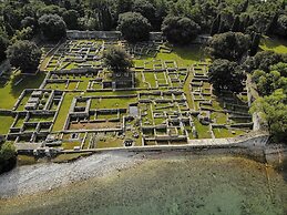 Bright Apartment With Garden and Balcony