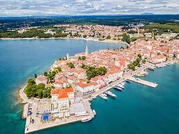 Spacious Apartment With Garden