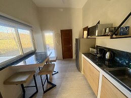 Pierre and Colors TAMARINDO Adult Only