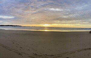 Pierre and Colors TAMARINDO Adult Only