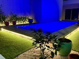 Pierre and Colors TAMARINDO Adult Only