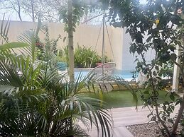 Pierre and Colors TAMARINDO Adult Only