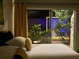 Pierre and Colors TAMARINDO Adult Only