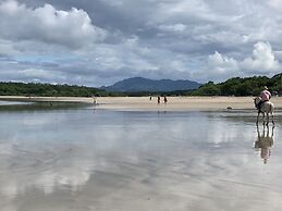 Pierre and Colors TAMARINDO Adult Only