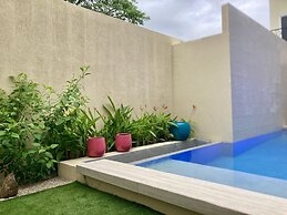 Pierre and Colors TAMARINDO Adult Only