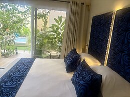 Pierre and Colors TAMARINDO Adult Only