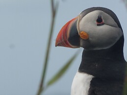Belmont Chapel Cottage
