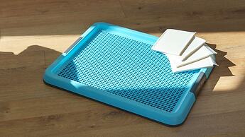 Geoje Yeoul Pet-friendly Pension