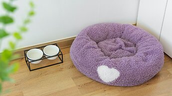 Geoje Yeoul Pet-friendly Pension