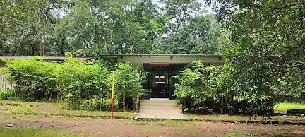 Tree Paradise Resort