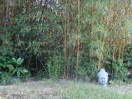 Kikala Waterfall Lodge