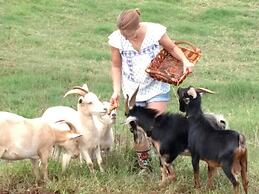 Kikala Waterfall Lodge