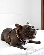Ultramarinn Hotel