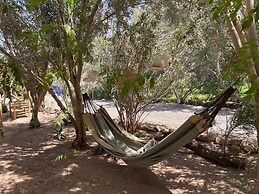 L Ecrin de Mogador by Zelia