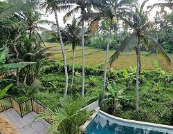 Bali View Ubud