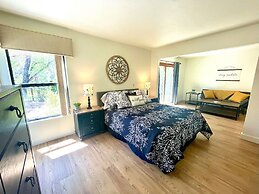 Coyote Hollow in the Pines