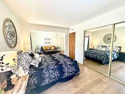 Coyote Hollow in the Pines