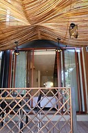 PLAYA VIKINGOS TEQUESQUITENGO