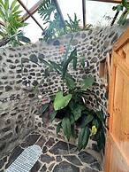 Yaloco House Monteverde